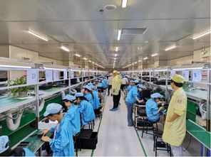 蘇寧拼購(gòu)拼拼工廠(chǎng)再升級(jí) 老人機(jī)企業(yè)擁抱互聯(lián)網(wǎng)銷(xiāo)售，迎來(lái)增長(zhǎng)新動(dòng)力